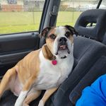 Ryan Turney - @rmt460 - Instagram