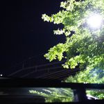 lutz - @ryanlutz__ - Instagram
