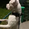 ryan valente - @ryan_131102 - TikTok