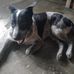 Ryan Vall - Facebook