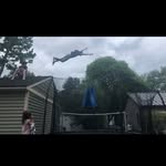 Ryan Vallee - @valleetrickery - Instagram