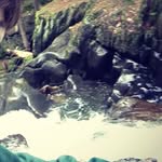 Ryan Vallee - @lifeisgood_ryanvallee - Instagram