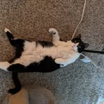 Ryan Van Gilder - @__ryban__ - Instagram