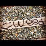 Ryan Vanguilder - @ryanv1601 - Instagram