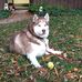 Ryan Vann - Facebook