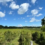 @ryanvineyards - Instagram
