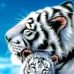 Riyan Ferdiyan - Facebook