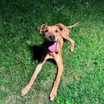 ryan visser - @ry.visser - Instagram