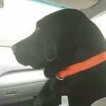 Ryan Volk - @ryan_volk - Instagram