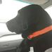 Ryan Volk - Facebook