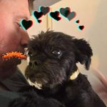 Ryan Volk - @randysasquatch - Instagram