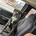 Ryan Volkert - Facebook