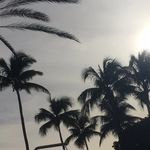 Ryan Wacker - @wack_city - Instagram