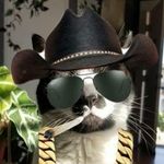 Ryan Wade - @fadedredfastback - Instagram