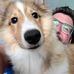 Ryan Wade - Facebook