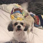 Ryan Wallin - @michaelwasryan - Instagram