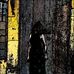 Ryan Ward - Facebook