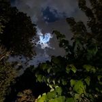 RYAN WARE - @ryanxious - Instagram