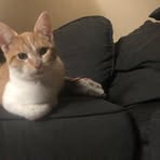 Ryan Watson - Facebook