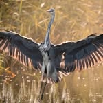 Ryan Webber - @rjw_photography_11 - Instagram