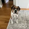 Ryan Wehrle - @ryanwehrle - TikTok