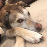 Ryan Weiner - @ryan_j_weiner - Instagram