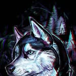 Ryan Wendel - @ryan.wendel.7545 - Instagram
