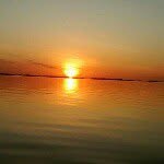 ryan wendel - @ryan.maciel12 - Instagram