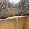 ryan__wentz - @ryan__wentz - TikTok