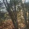 Ryan Wert - @ryan.wert - TikTok