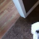 ryan_werth - @ryan_werth - Instagram
