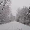 Ryan Werth542 - @ryanwerth542 - TikTok