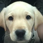 Ryan Westberg - @rfwestberg0606 - Instagram