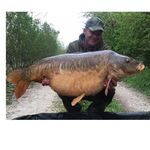 Ryan Westby - @ryanwestby - Instagram