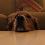Ryan Westendorf - @ryan.westendorf - Instagram