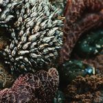 Ryan Whitlow - @rwhitlowphotography - Instagram