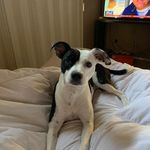 Ryan Whitlow - @curbside_mobile_wash - Instagram