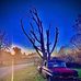 Ryan Whitsett - Facebook