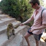 Ryan Whittington - @tryanharder - Instagram