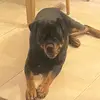 ryan why not - @ryan.why.not - TikTok