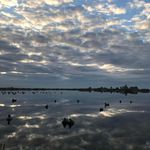 Ryan Wickham - @ryanwickham35 - Instagram