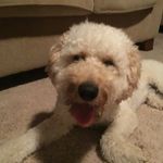 Ryan Wickham - @ryan.wickham128 - Instagram