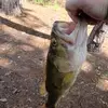 Ryan Willcockson - @ryan.willcockson4 - TikTok