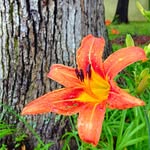Ryan Windham - @windhamphotography - Instagram