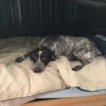 Ryan Wingate - @ryancwingate - Instagram