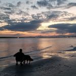 Ryan Wingate - @ryanwingatewnc - Instagram