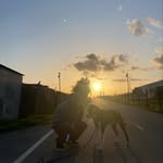 Ryan Wingo - @ryanwingo_ - Instagram
