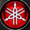 ryanwingo166 - @ryanwingo166 - TikTok