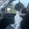 Ryan Wingrove - @ryan.wingrove7 - TikTok