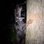 Ryan Winstead - @ryan_winstead69 - Instagram